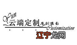 新年·习俗春节，即农历新年，传统上的“年节”