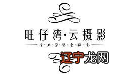 新年·习俗春节，即农历新年，传统上的“年节”