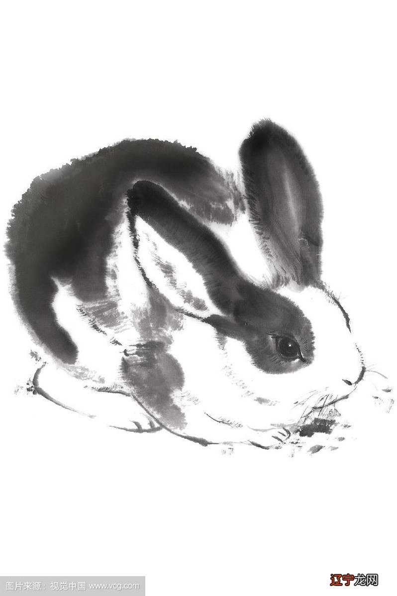 图 君子爱财取之有道,生肖兔进入2021年财运如何呢?