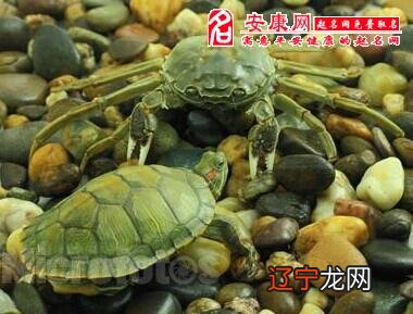 周公解梦大数据对“”的解答:梦见稻子丰收