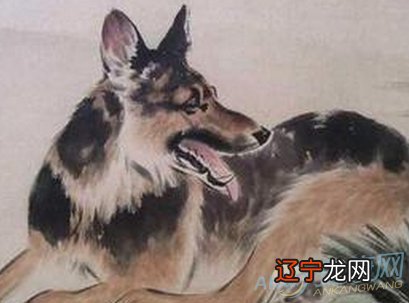 跟生肖狗相克的属相关系会怎样属狗遇生肖牛