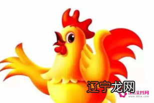 93年属鸡的婚姻配对，结婚找对象要找什么属相