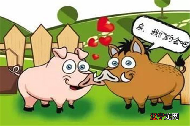 属猪的婚配可以和属牛的人在一起般配吗