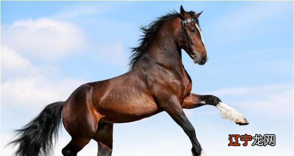 十二生肖中哪些生肖会比较短命？人爱吃高热量对身体