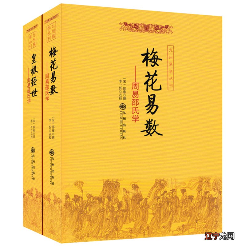 书图解解读零基础易传梅花易数哲学书籍共2册