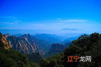 周运：关于梦见蛇围着自己的梦境解读网友梦幻