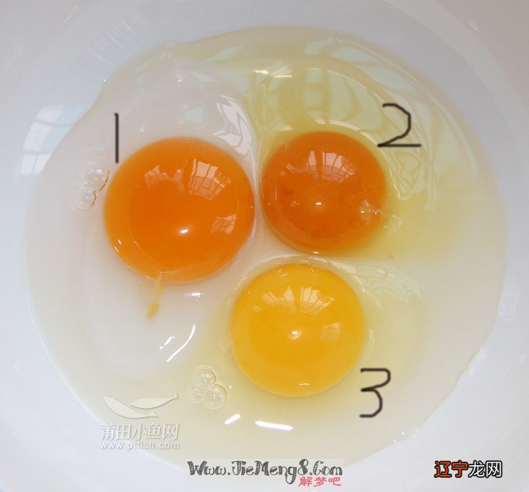 图 到陵井监风水堂:什么是梦好不好?