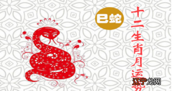 82年农历出生属什么生肖_1987年4月19日农历出生属什么命_1893年出生的是属什么生肖