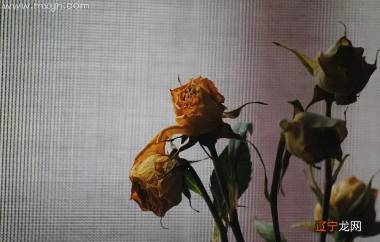 风水堂：梦见跟老公离婚是什么意思