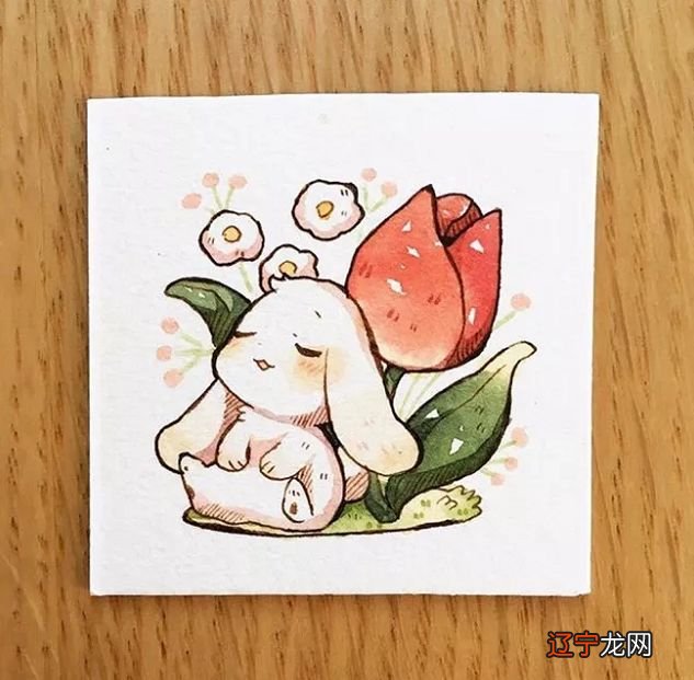 每一个人都有自己的生肖属相在生活中的优点