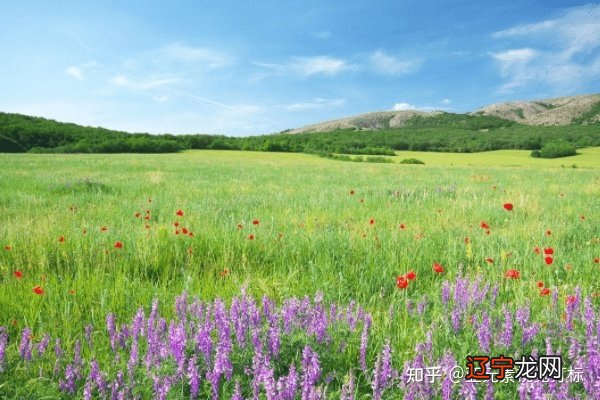 8月6日财神惠顾，横财大发800万，财运不可阻挡的三大生肖