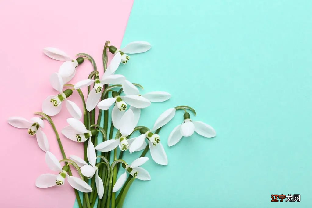 有关星座故事实测，有效经过姐妹实测，为什么要那么做？