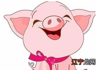 2019年属猪是什么命？2019一生财运不错的生肖