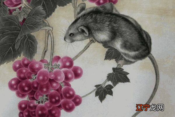 9月将到时候,不是所有人都是真心的的生肖