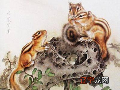 9月将到时候,不是所有人都是真心的的生肖