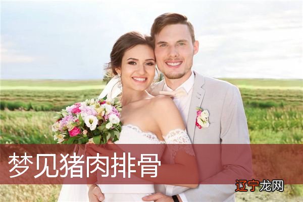 猪肉排骨