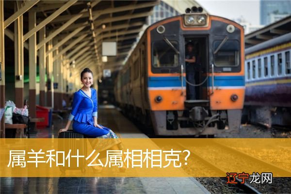 属羊人生肖相克吗_属狗的与什么生肖相克_属蛇的与什么生肖相克