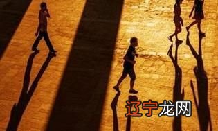 文化是以习得的知识解释经验与产生行为的影响