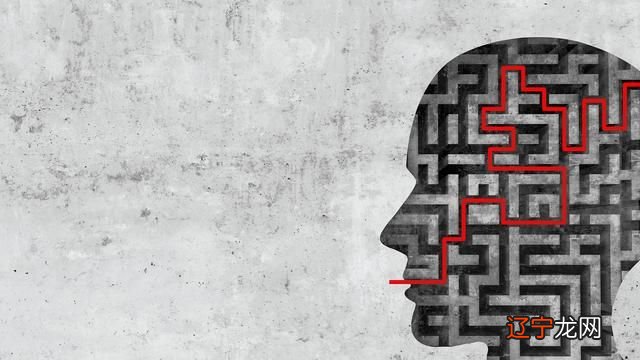 文化是以习得的知识解释经验与产生行为的影响