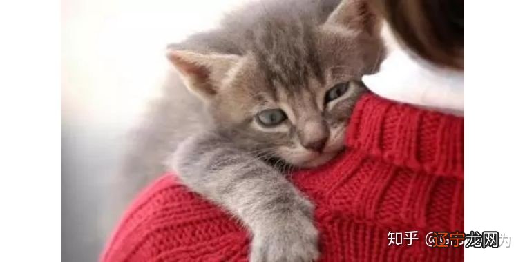 记忆最深刻的莫过于第一次梦到抱yuzu的时候。。