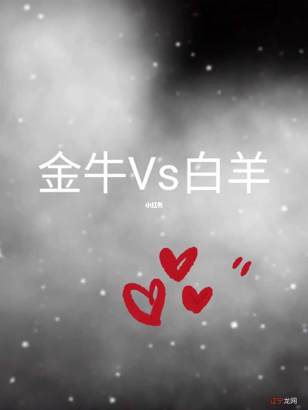 图 12星座的人去相亲时都有什么模样？