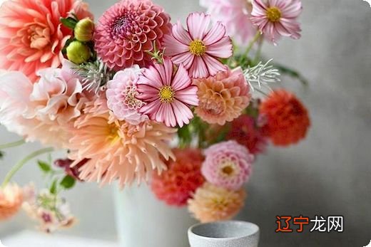 一 育儿语录：河洛文化最大的特点及特点表现