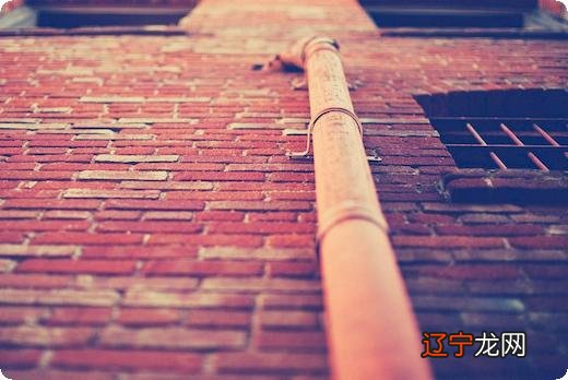 一 育儿语录：河洛文化最大的特点及特点表现