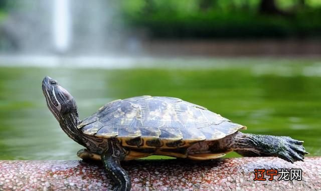 慈世堂：卧室吊灯的风水讲究，你知道吗？