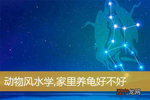 慈世堂：卧室吊灯的风水讲究，你知道吗？