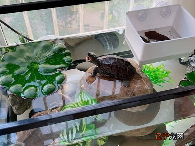 慈世堂：卧室吊灯的风水讲究，你知道吗？