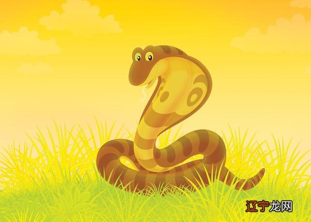 属蛇的人对不喜欢总是斤斤计较和什么属相犯冲