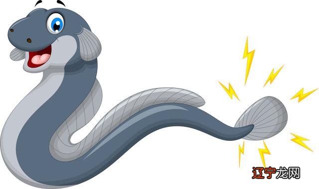 属蛇的人对不喜欢总是斤斤计较和什么属相犯冲