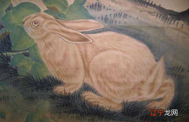 下葬时犯冲属相_属相哪几组犯冲_生肖属相犯冲