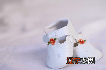 组图 狗宝宝起什么名字好:属狗的人,名字