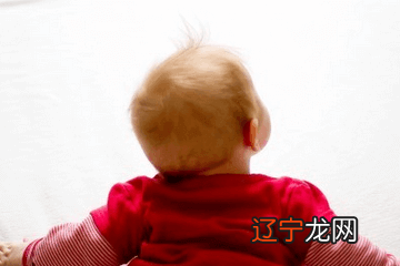 组图 狗宝宝起什么名字好：属狗的人，名字