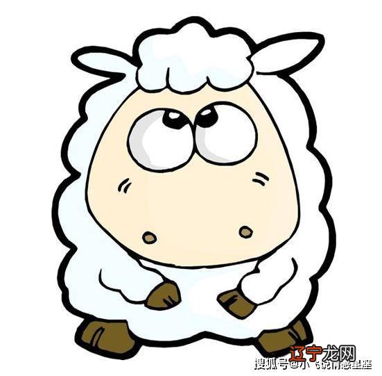 属马和属羊生什么生肖_虎马羊 属相合吗_生肖马和生肖猴生哪个属相的宝宝
