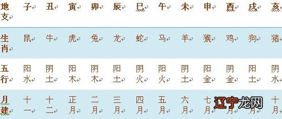 十二生肖当中属蛇与什么属相婚配最好的生肖属相相克