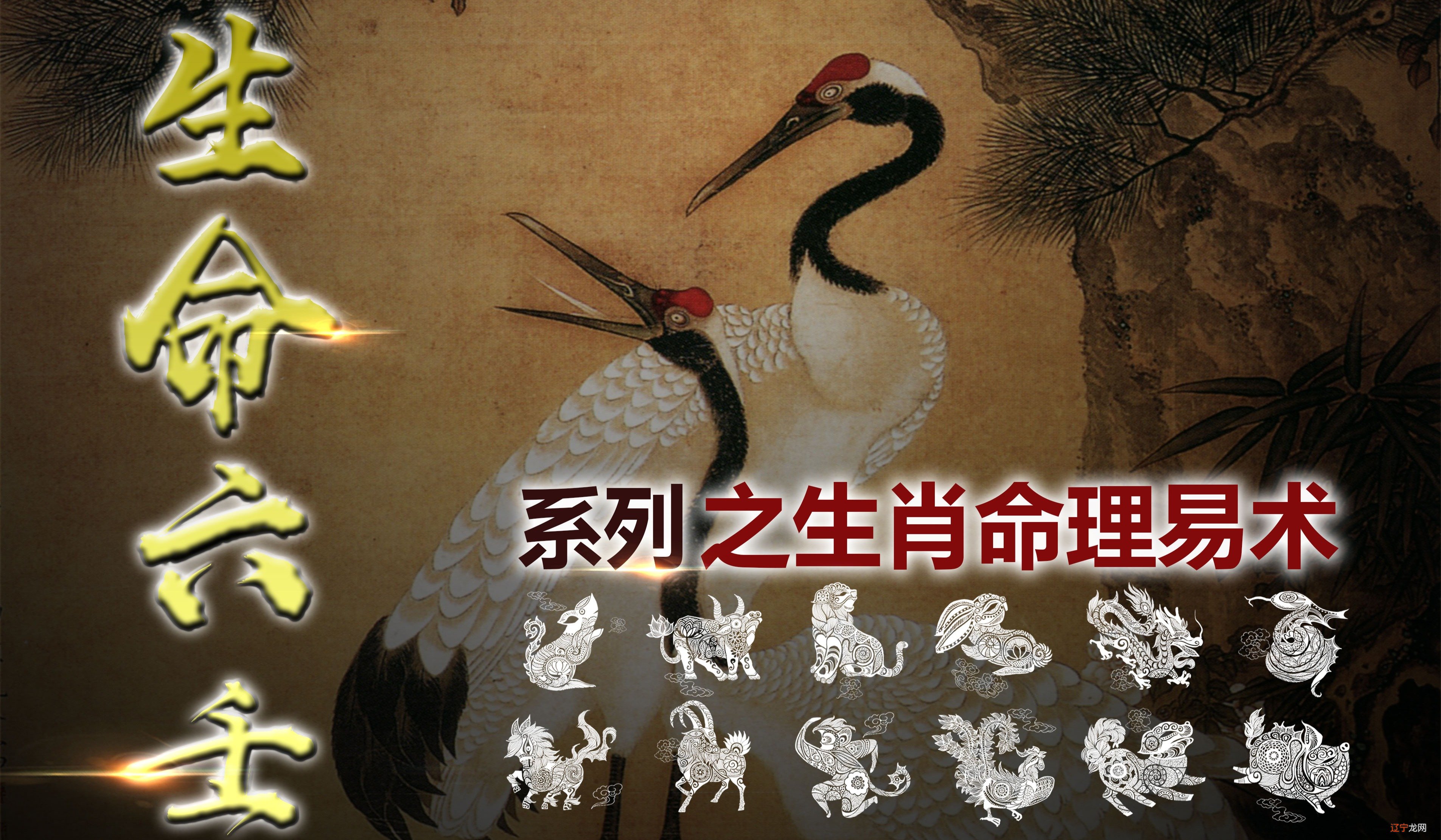 图 名典学识生肖配对，血型性格等黄历择日：黄道吉日