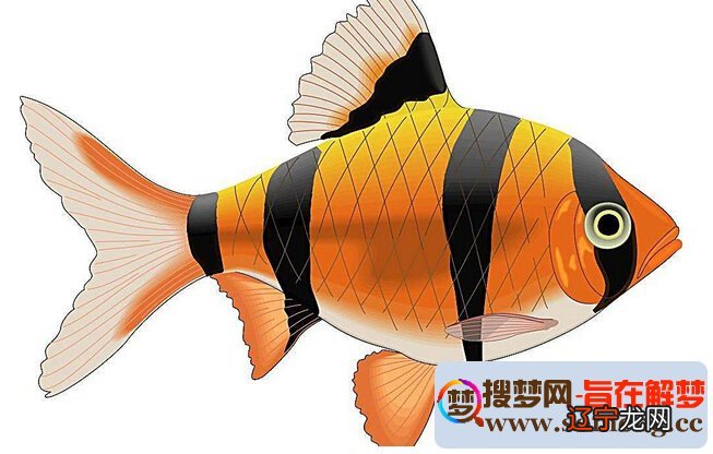 风水堂：梦见自己吃鱼的注意事项