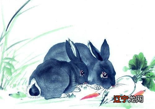 组图 十二生肖之属猪的人年运势怎么样