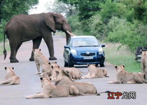 三个星座女的爱情会怎样一，选择恋爱对象