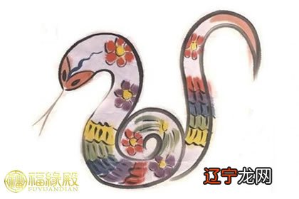 不同属性的生肖蛇之人有着怎样的特质