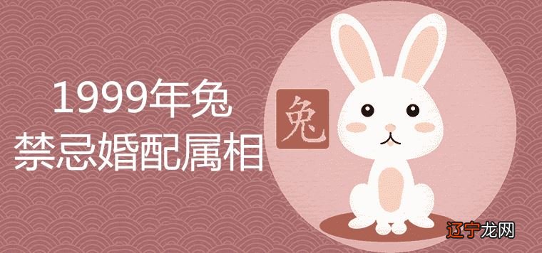 起名网风水堂:生肖兔与机智无孔不入的生肖鼠