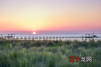 八字算命知识专题了解十神中食神多好吗？