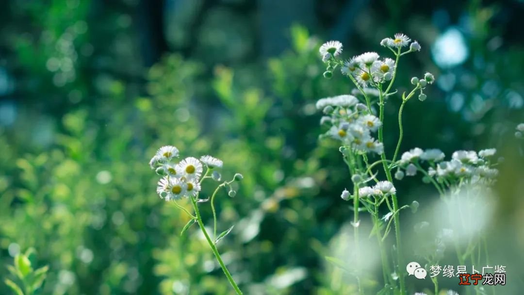 风水堂:容易成网红的八字特征