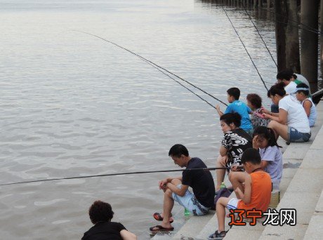 孕妇梦见好多鱼在天上飞_孕妇梦见鱼拉不上来_孕妇梦见鱼