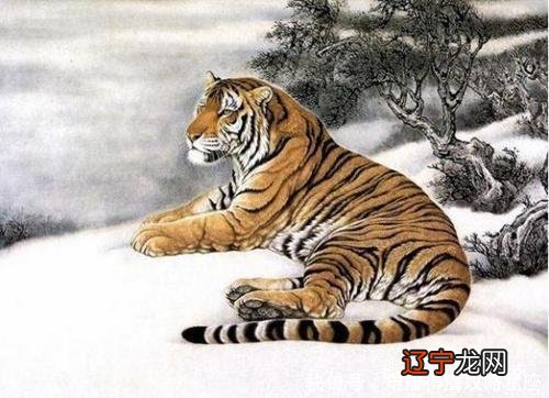 12生肖蛇的桃花劫，谁是你的婚配？