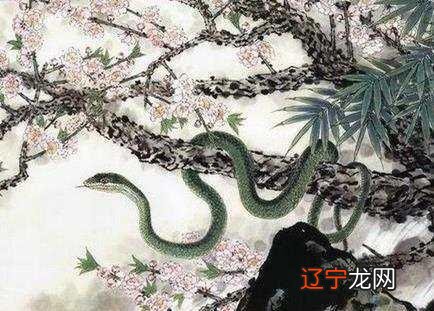 12生肖蛇的桃花劫，谁是你的婚配？