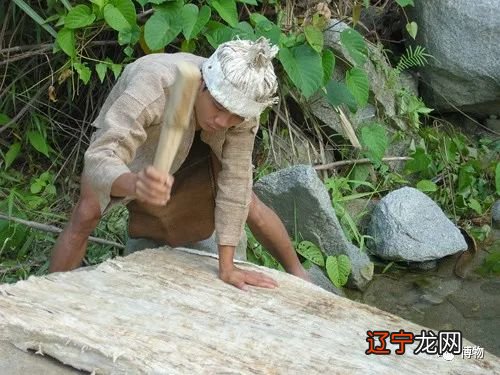 梦见树上结绿色大果子_梦见树上果子红了_红叶子红果子什么树