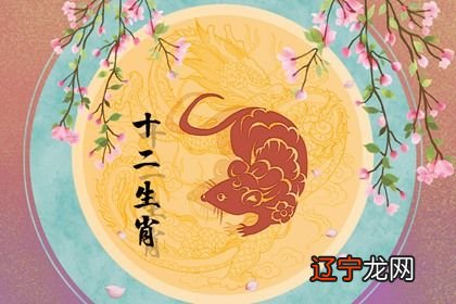 生肖属鸡人2014年运势_生肖属马人2016年运势_属鼠的逐年生肖运势